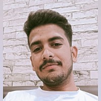 Vikash Pareek