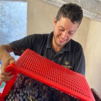 Eduard Viader Cayón