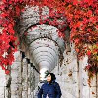 Farizatul Azna Muhamad