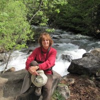 Cynthia Wolloch