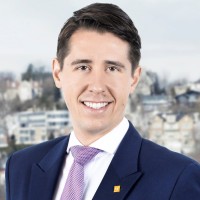 Patrick Lorange, Cfa, Cpa Auditor