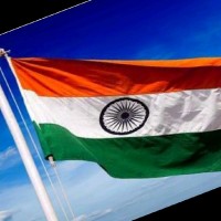 Wallibhavi S.Patel