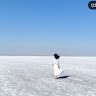 M Chien