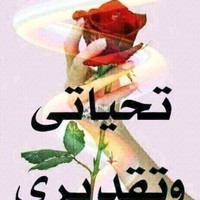 كريم الغمروي الفقي
