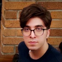 Amir Mohsen Barahimi