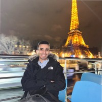 Hesham Ragab Aly Hussein