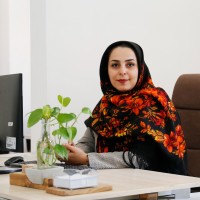 Mahdie Taheri