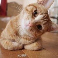 马立松