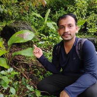 Harshal Kudu