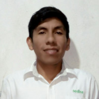 Estick Edwar Mesias Almeyda