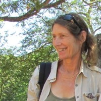 Claire Lelong