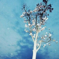 李雨璇