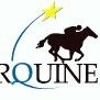 Starquine Ventures