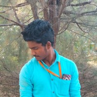 Praveenkumar S