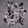 Kristin Brudzisz