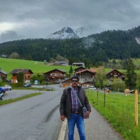 ROY DANIEL