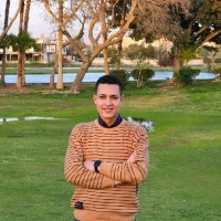 Mohamed Erfan