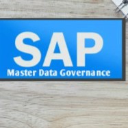 SAP MDG-  Architect  MDG project management freelancer