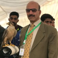 Kamran Abid