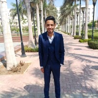 Mahmoud Hesham