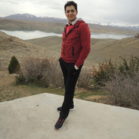 amir kadkhodaei
