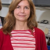 Kim Findlay
