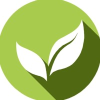 The Green Ink Studio