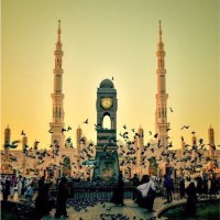 عادل جان