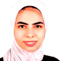 Alaa Elwany