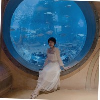 林奕婧