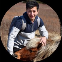 Andy Lin