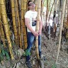 Cristiano Modesto