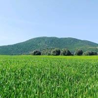 Nasredine Radjati