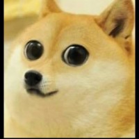 Meme Office