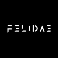 Felidae Clothing