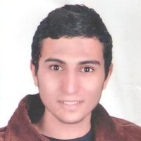Ahmed Elsayed