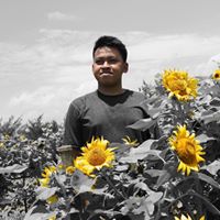 Aditya P.