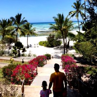 AURELIEN HERITIER-PINGEON