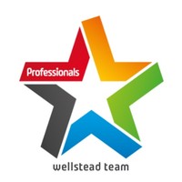Professionals Wellstead Team