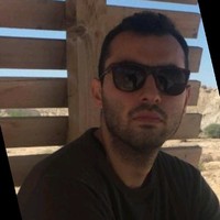 alireza shahverdi