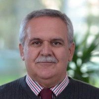 Prof. dr Veselin Perovic
