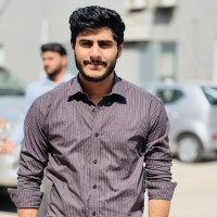 Muhammad Raza Hussain Zaidi