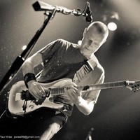 Page Hamilton