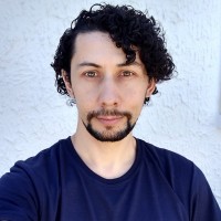 Vinícius Guerreiro Balles