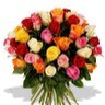 Anand Anand
