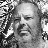 Freek Tanis