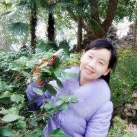 朱晓燕