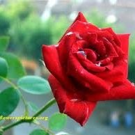 singam rishitha