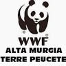 Wwf Alta