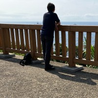 髙橋直樹